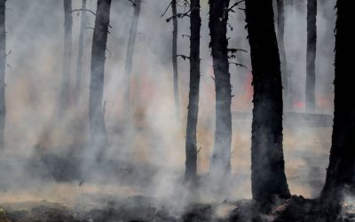 Fumées d’incendie au travail : quelles sont les obligations de l’employeur et quand exercer son droit de retrait ?