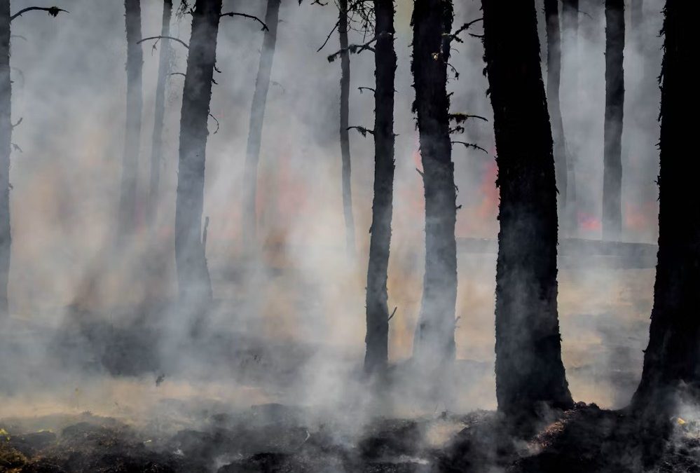 Fumées d’incendie au travail : quelles sont les obligations de l’employeur et quand exercer son droit de retrait ?